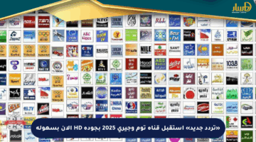 «تردد جديد» استقبل قناة توم وجيري 2025 بجودة HD الآن بسهولة